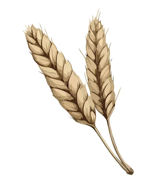Золотые Колоски Пшеницы Символизируют Здоровую Икону Сбора Урожая Осенью — стоковый вектор