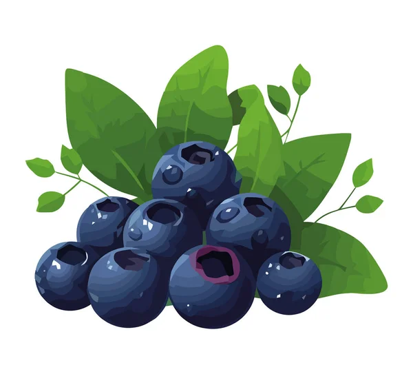 stock vector Ripe blueberries, fresh from nature organic plant icon isolated