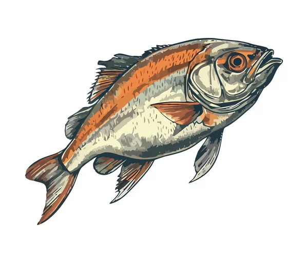 물고기 스케치는 고립된 해산물 아이콘을 상징한다 — 스톡 벡터