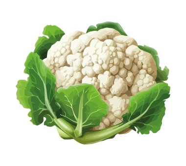 Taze sebze karnabahar sağlıklı bir yemek ikonu yapar.