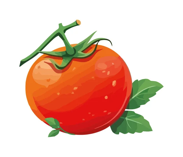 Tomate Biologique Fraîche Icône Mûre Juteuse Isolée — Image vectorielle