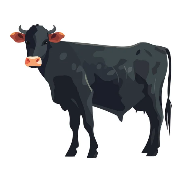 Cute Holstein Cattle Farm Animal Icon Isolated — Stock Vector