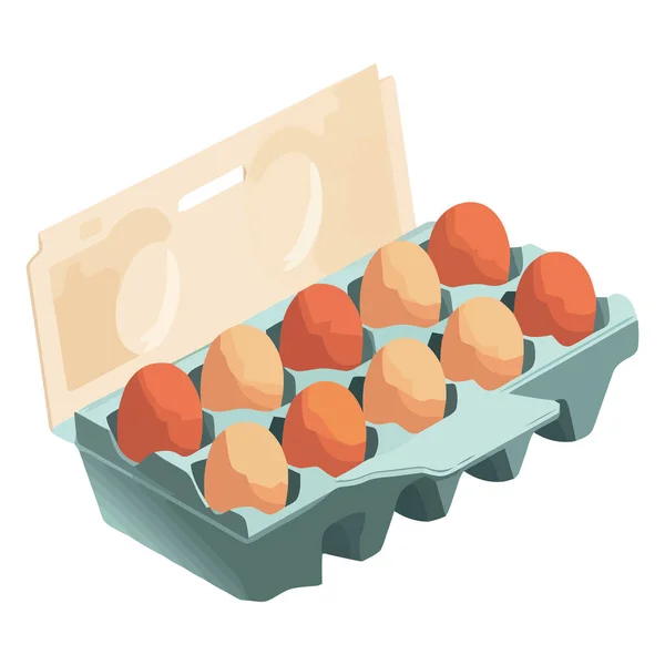 Νωπά Βιολογικά Αυγά Χάρτινο Δοχείο Απομονωμένο — Διανυσματικό Αρχείο