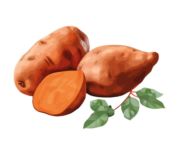 Świeże Organiczne Ziemniaki Ilustracji Wektor Ikona Izolowane — Wektor stockowy