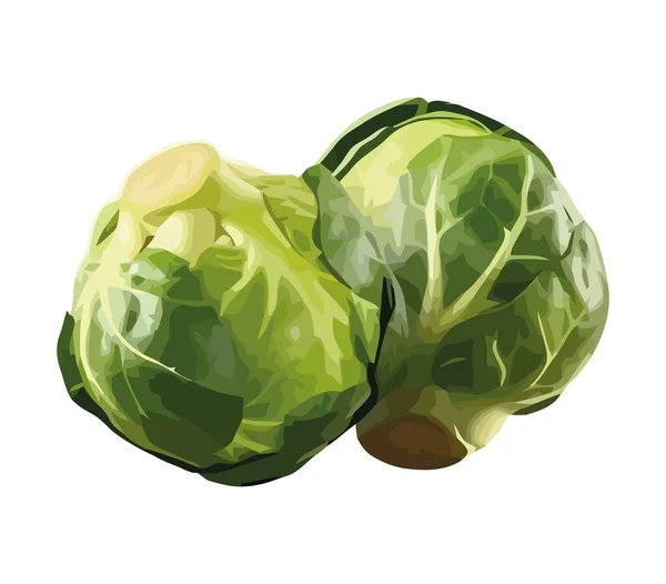 新鮮な有機サラダ 野菜のアイコンが孤立した健康的な食事 — ストックベクタ