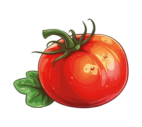 Juicy Tomato Ripe Fresh Farm Icon Isolated — Stock Vector