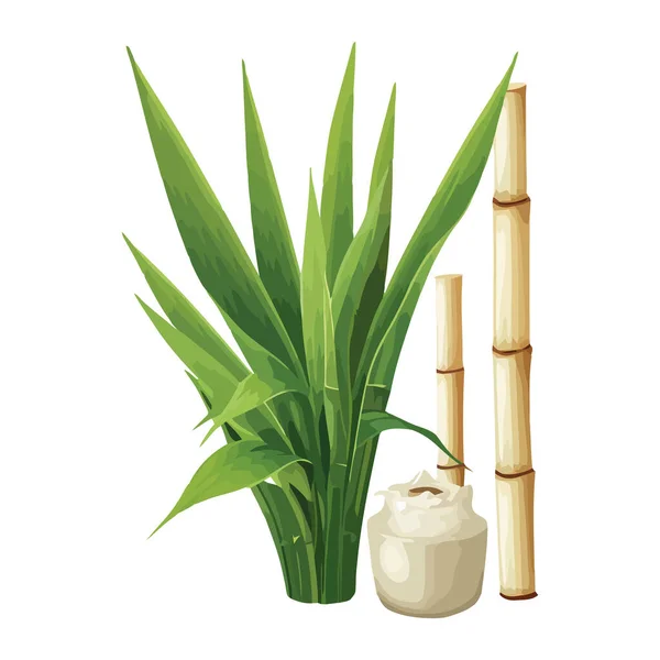 Brote Bambú Verde Crece Icono Ambiente Fresco Aislado — Vector de stock