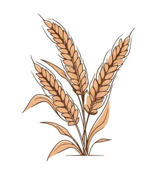 Golden Wheat Barley Icon Isolated — Stock Vector