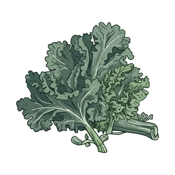 Verse Biologische Salade Met Gezonde Bladgroenten Icoon Geïsoleerd — Stockvector