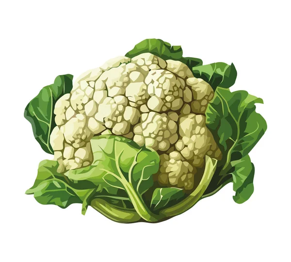 Verduras Frescas Coliflor Maduras Para Una Alimentación Saludable Icono Aislado — Vector de stock