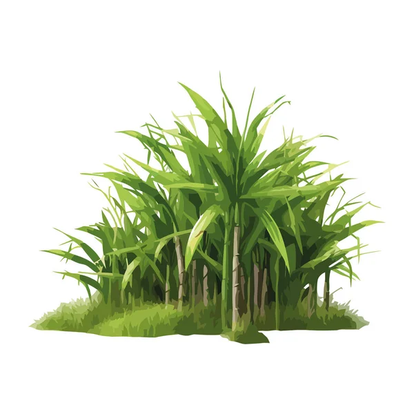 Свежая Зеленая Трава Растет Природе Икона Бамбука Изолированы — стоковый вектор