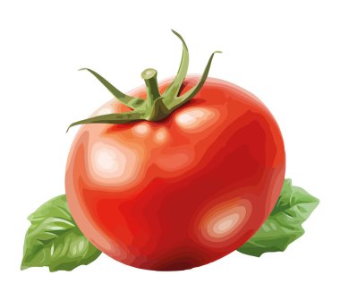 Sulu domates, organik tarım ikonu izole edilmiş.
