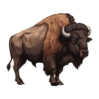 Büyük boynuzlu bizon memeli ikonu izole edildi