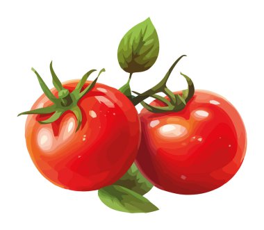 Sulu olgun domates, sebze bahçesi ikonu izole edilmiş.