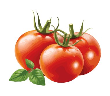 Taze organik domates salatası, izole edilmiş vejetaryen yemek ikonu.