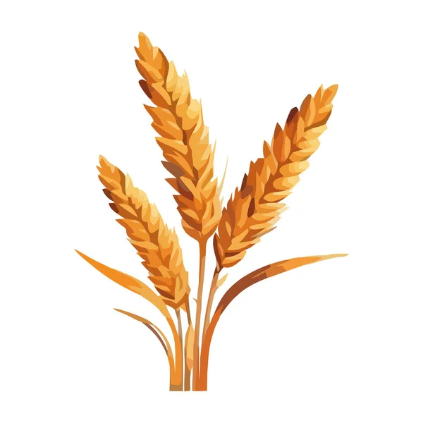 Спелые Колосья Пшеницы Ячменя Символ Изолированной Иконы Урожая — стоковый вектор