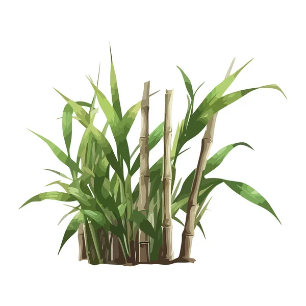 Färsk Grön Bambu Skjuta Symbol För Tillväxt Ikon Isolerad — Stock vektor