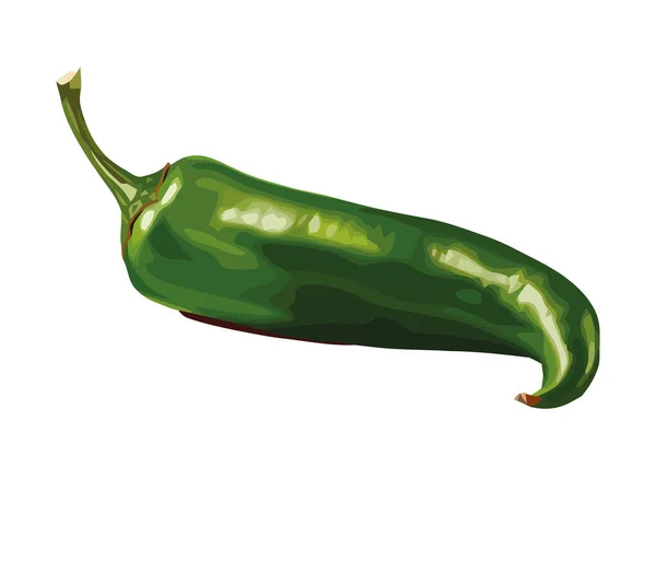 Fresh Chili Pepper Seasoning Icon Isolated — Stock Vector