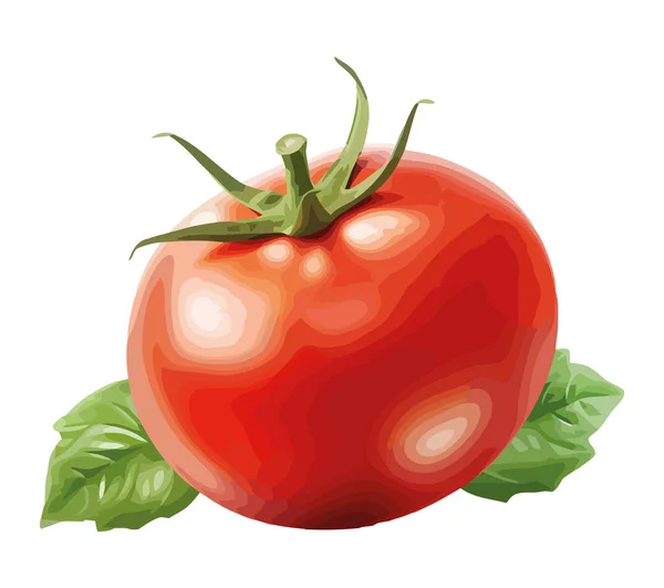 Tomate Juteuse Fraîche Icône Ferme Biologique Isolée — Image vectorielle
