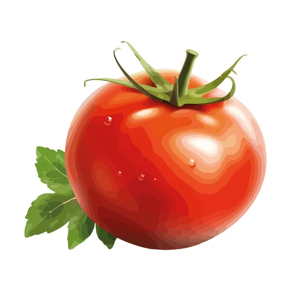 Saftig Tomat Färsk Från Den Ekologiska Gårdsikonen Isolerad — Stock vektor