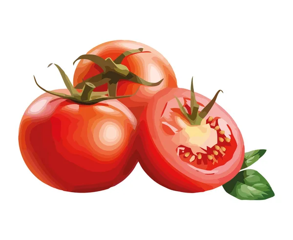 Tomat Organik Segar Potongan Masak Dan Juicy Terisolasi - Stok Vektor