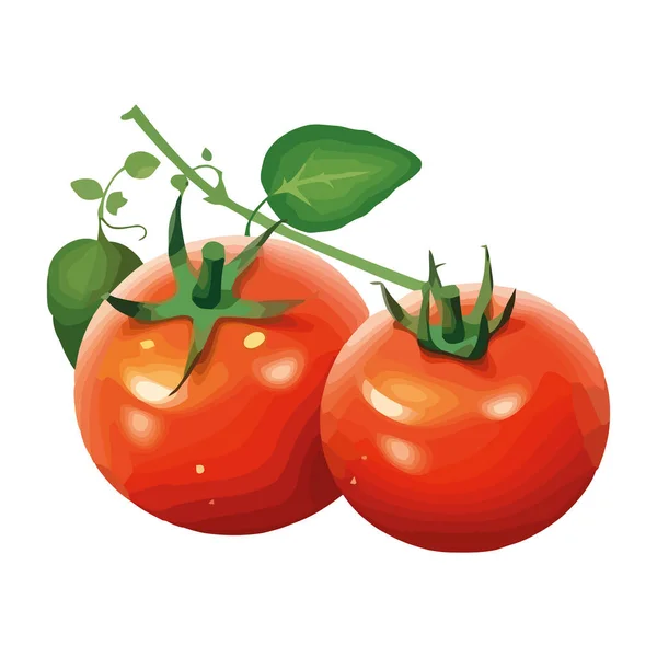 多汁的成熟番茄 新鲜自自然花园图标分离出来 — 图库矢量图片