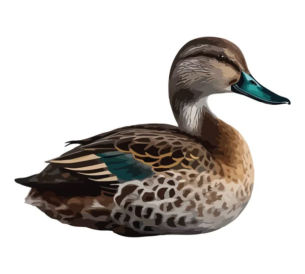 Mallard Duck Isolated Background Icon Isolated — Stock Vector