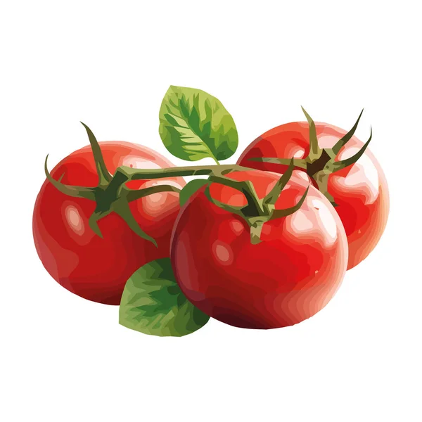 Tomat Juicy Segar Dari Alam Pertanian Ikon Terisolasi - Stok Vektor