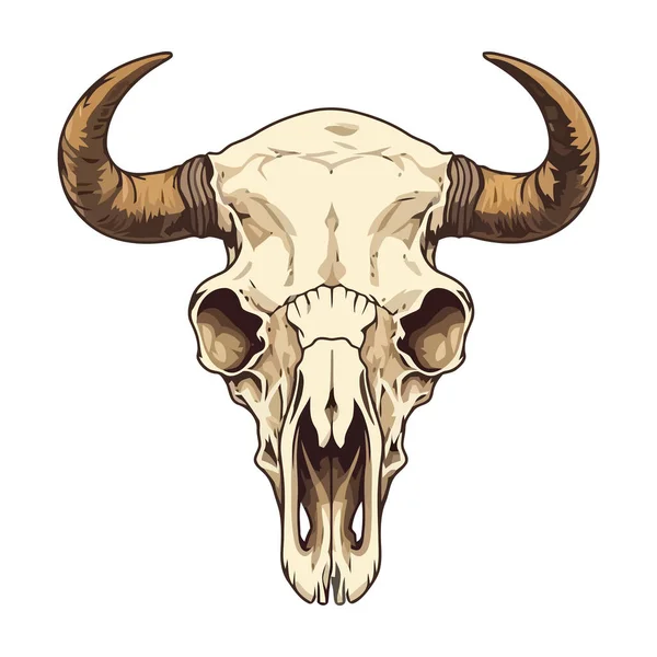 Cráneo Toro Con Cuernos Simboliza Muerte Anatomía Icono Aislado — Vector de stock