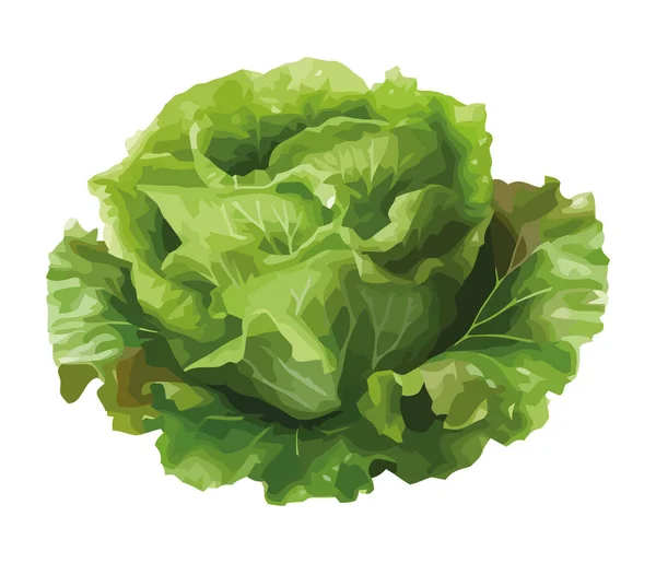 Gesunde Ernährung Symbolisiert Durch Frisches Salatsymbol — Stockvektor