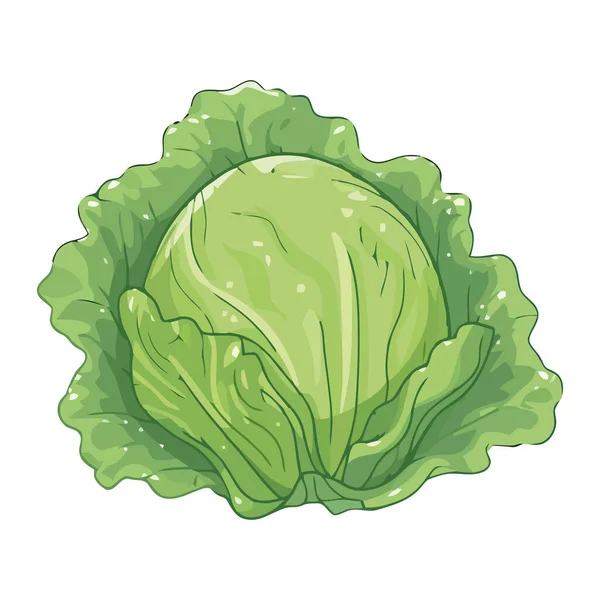 Ensalada Verduras Lechuga Fresca Icono Comida Vegetariana Aislado — Vector de stock