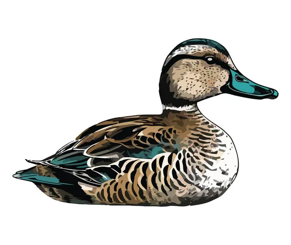 Mallard Duck Nature Beauty Animal Icon Isolated — Stock Vector