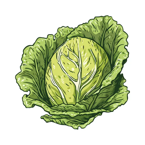 Frischer Bio Salat Gesunde Vegetarische Mahlzeit — Stockvektor