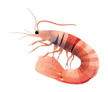 Taze deniz ürünleri, su altında pişirilmiş ikon izole edilmiş.