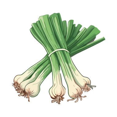 Taze soğan, sağlıklı beslenme, doğa ödül ikonu izole edilmiş.