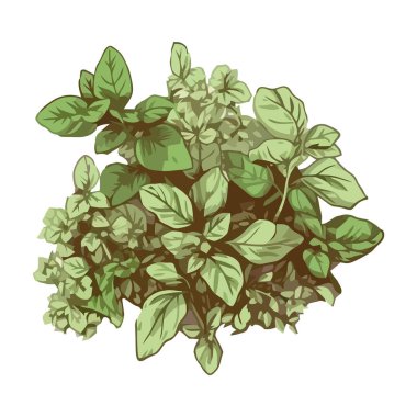 Sağlıklı yemek ikonu için taze bitkiler izole edilmiş.