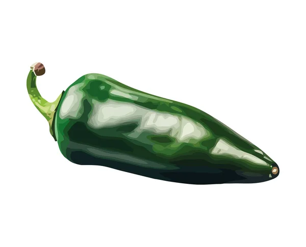Färska Chili Peppar Grönsaker Mogna Och Fulla Smak Ikon Isolerad — Stock vektor