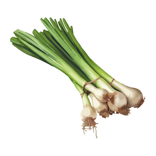 Oignon Légumes Biologiques Icône Saine Alimentation Isolé — Image vectorielle