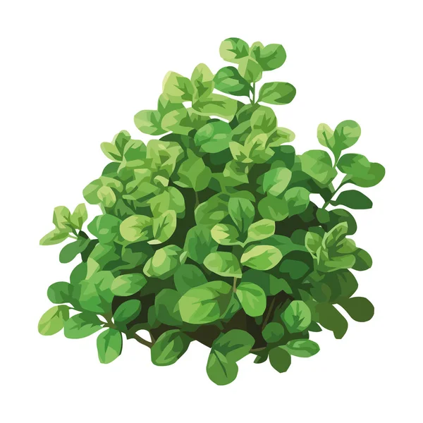 Frisch Grüne Blätter Des Frühlingsbaumzweiges Ikone Isoliert — Stockvektor