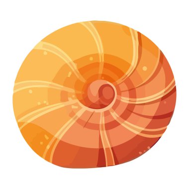 Deniz kabuğu kabuğu, nautilus yaz dekor simgesi izole