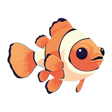 Tropikal resifte yüzen palyaço balığı, izole edilmiş neşeli sualtı balığı.