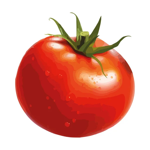 Färsk Ekologisk Tomat Mogen För Hälsosam Mat Ikon Isolerad — Stock vektor
