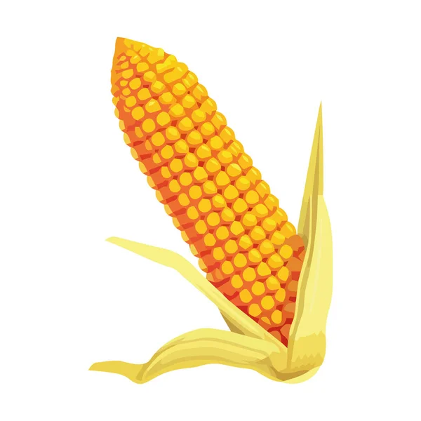 Zralá Kukuřice Cukrová Klobáse Čerstvá Ikony Farmy — Stockový vektor