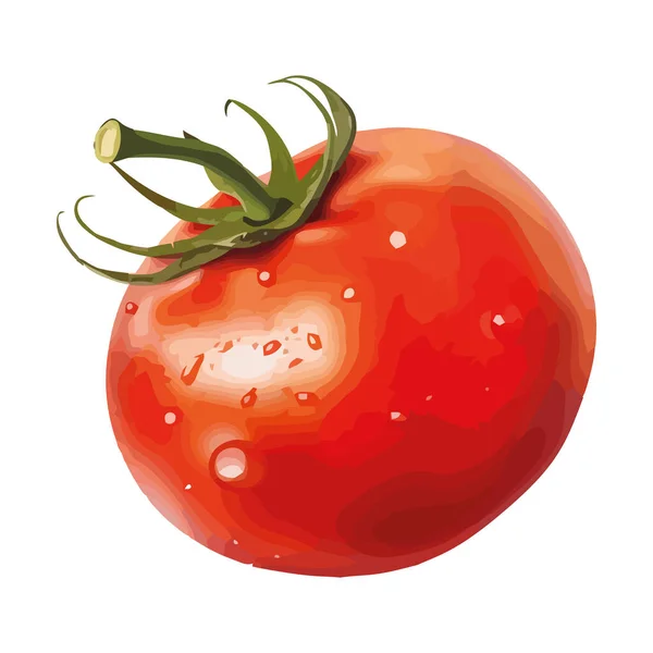 Juicy Ripe Tomato Fresh Vegetable Icon Isolated — Stock Vector