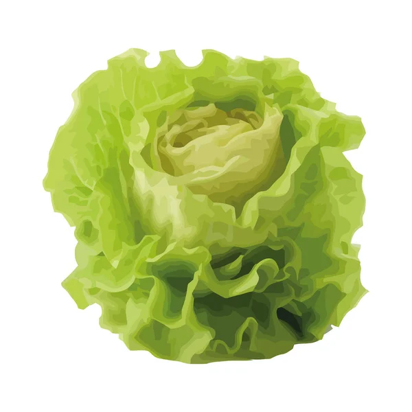 Verse Biologische Salade Met Rijpe Groenten Blad Pictogram Geïsoleerd — Stockvector
