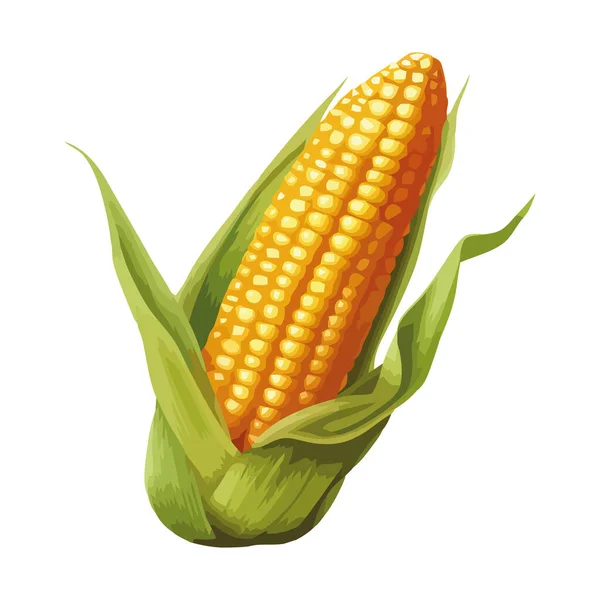 Солодкий Кукурудза Коб Свіжий Ікони Ферми Ізольовані — стоковий вектор
