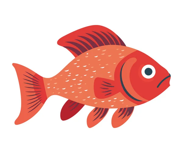 Zole Edilmiş Tropik Bir Gölde Yüzen Kırmızı Balık — Stok Vektör