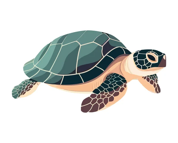 Симпатичная Черепаха Зеленой Оболочкой — стоковый вектор