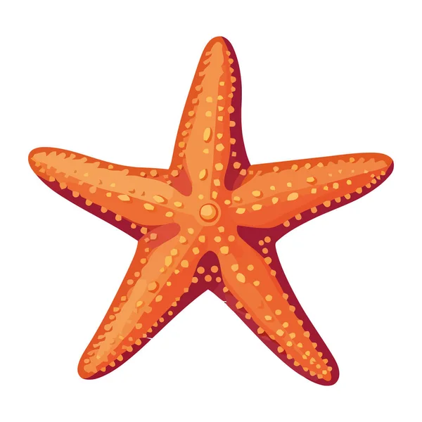 Escena Submarina Verano Estrella Mar Animal Aislado — Vector de stock