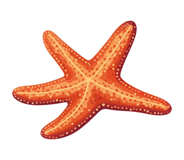Estrella Mar Submarina Conchas Marinas Aisladas Arrecifes Tropicales — Vector de stock